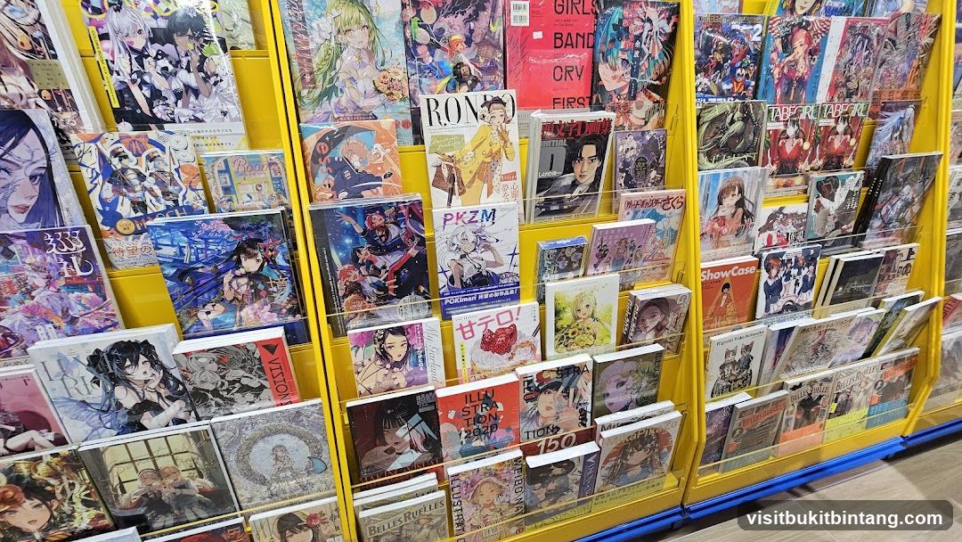 Art Books and Magazines Display