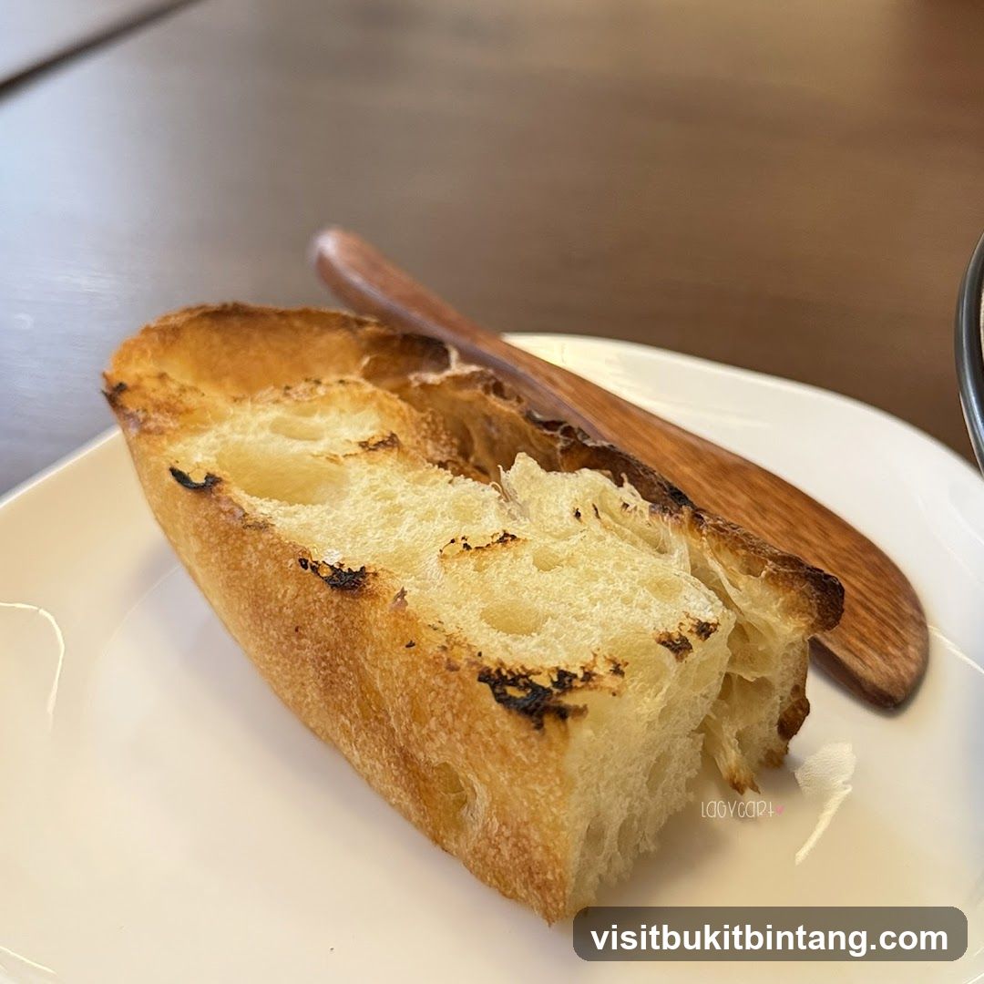 Toasted Bread Slice