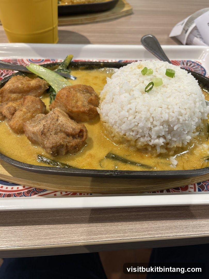 Sizzling Chicken Curry with Rice