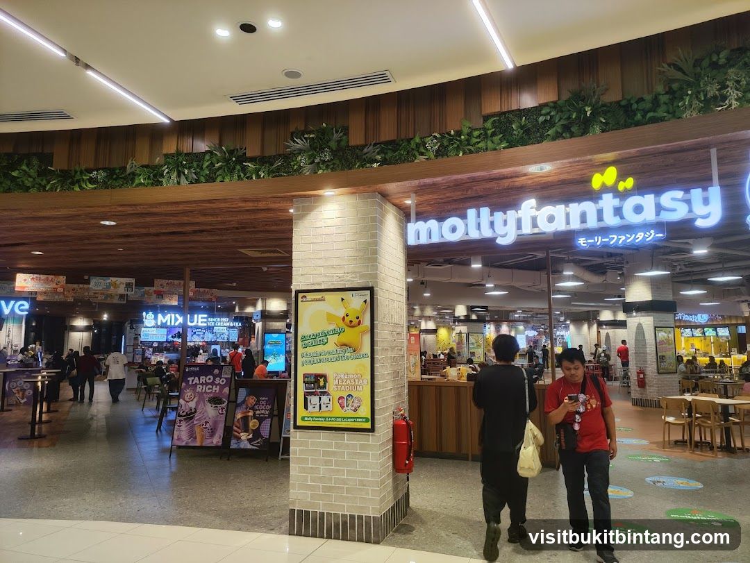 Molly Fantasy Entrance
