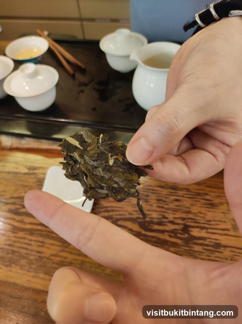 Tea Tasting