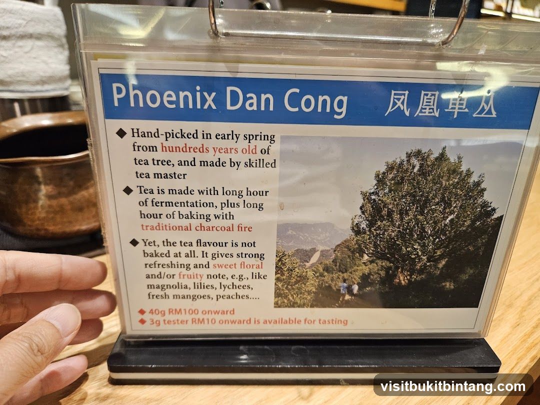 Phoenix Dan Cong