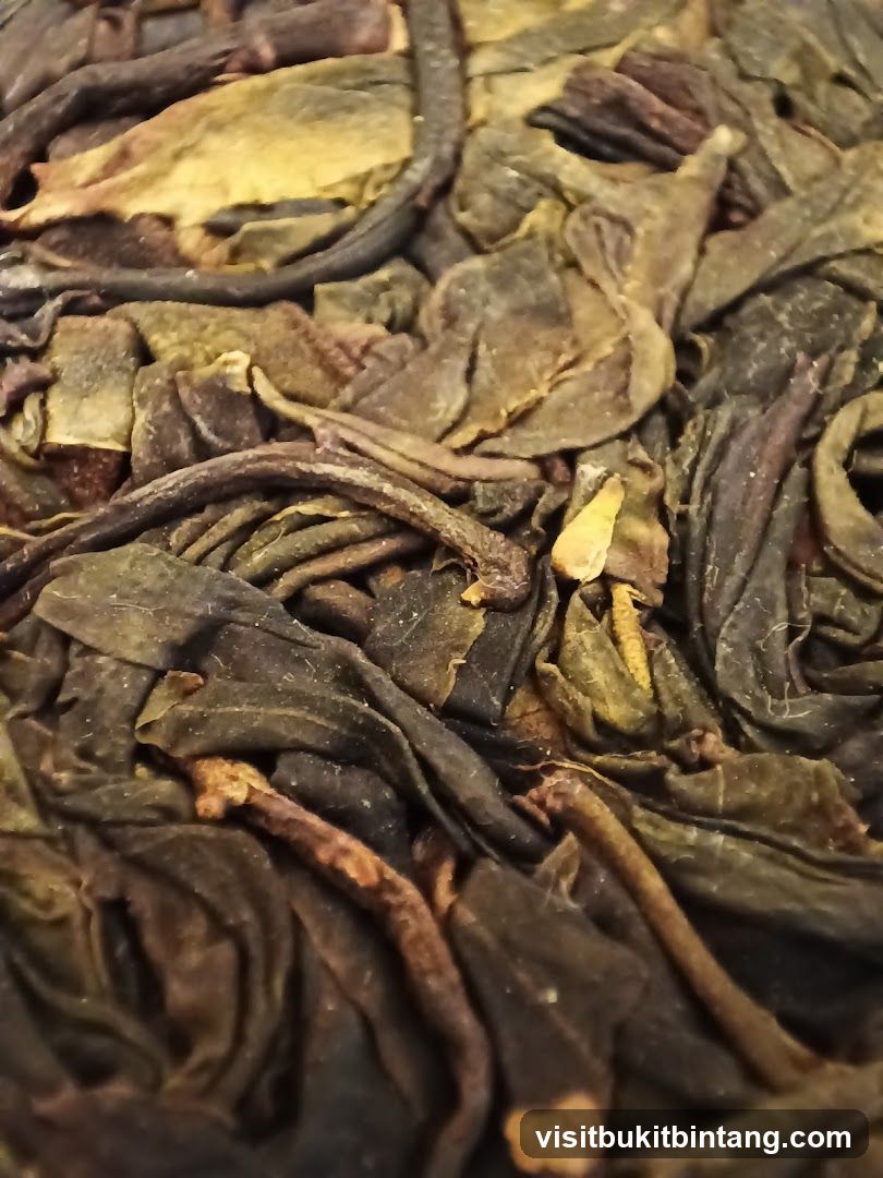 Dried Tea Leaves