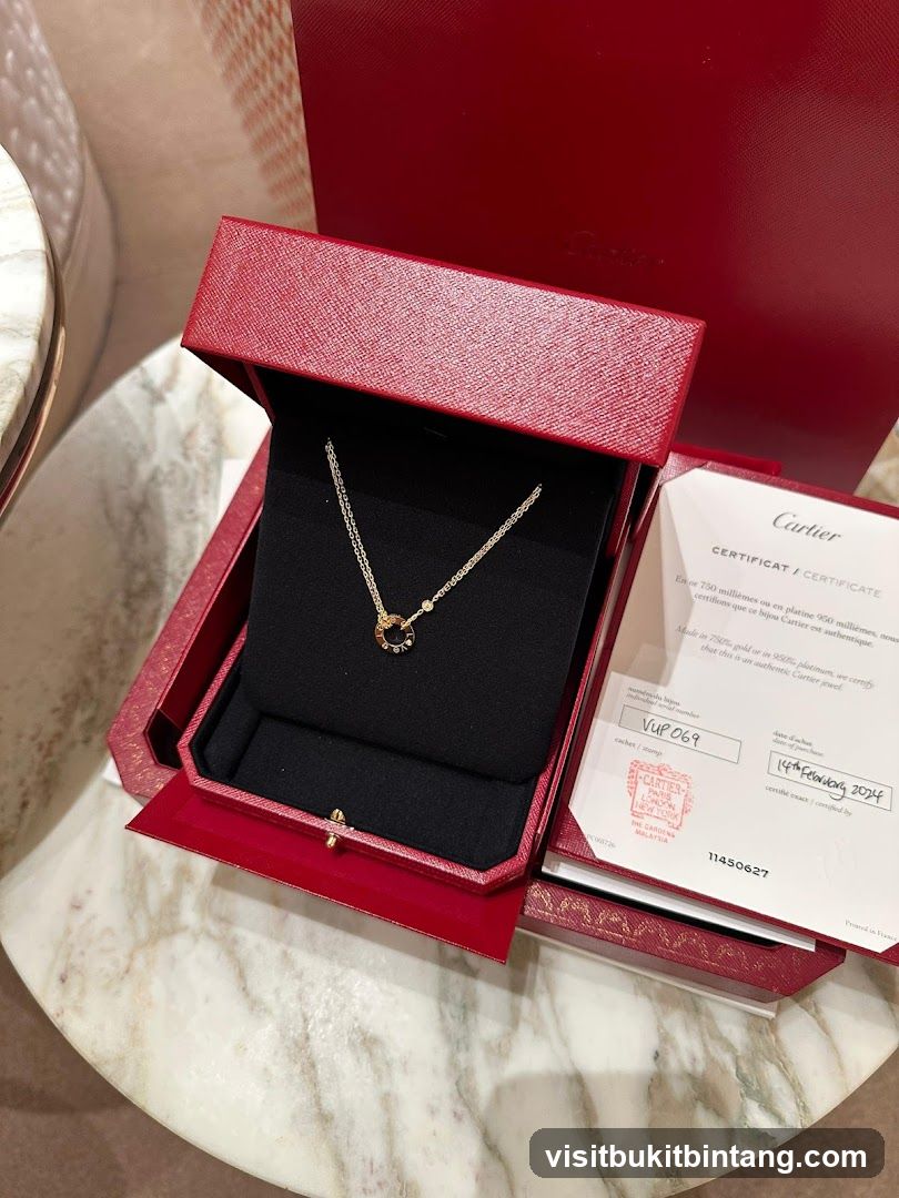 Cartier Necklace in Box