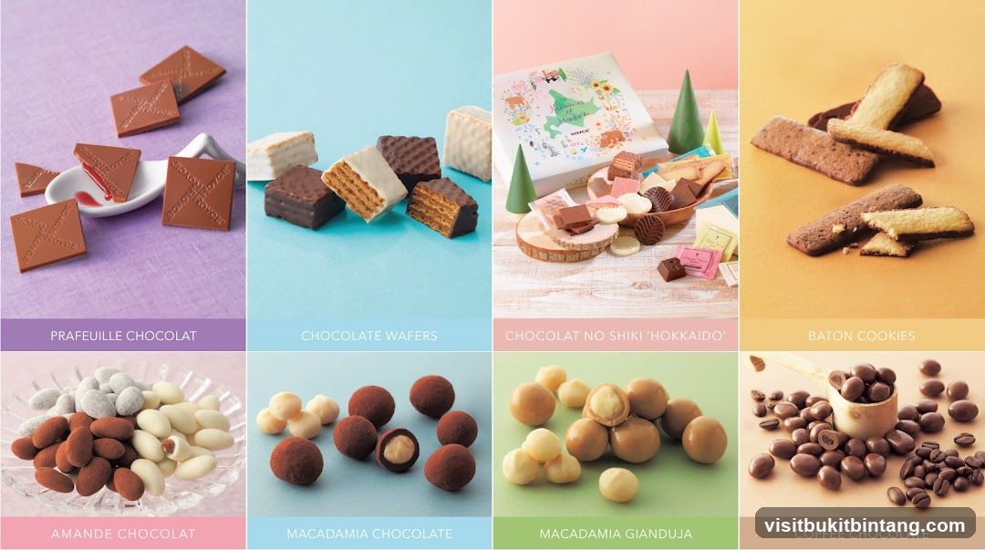 Assortment of Chocolates and Cookies