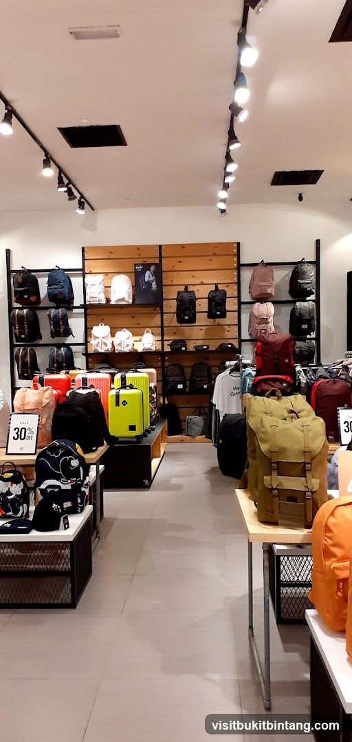Backpacks and Luggage Display