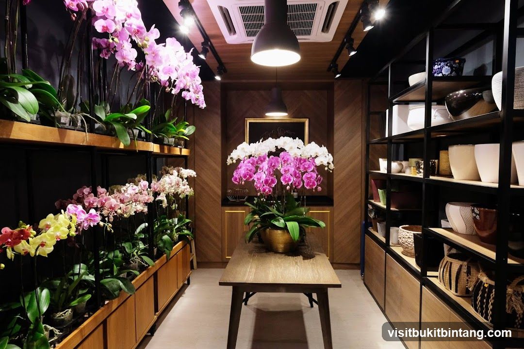 Orchid Display
