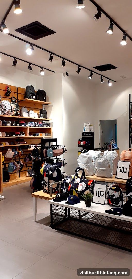 Retail store interior with bags and accessories