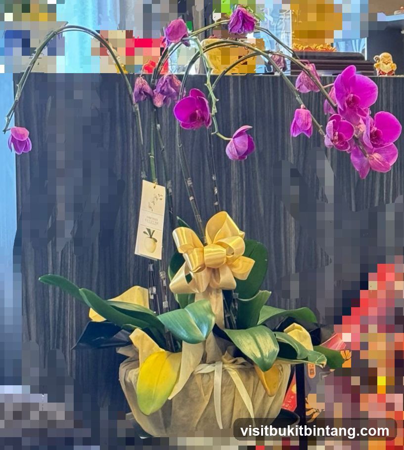 Orchid Plant with Yellow Bow