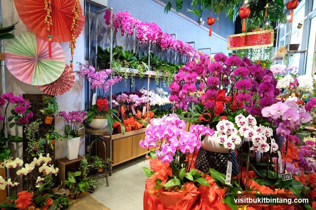 Orchid Display
