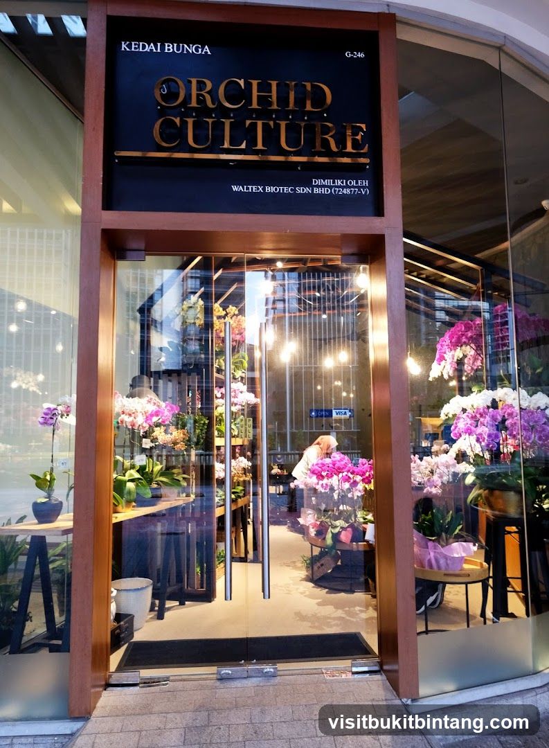 Orchid Culture The Gardens Mall