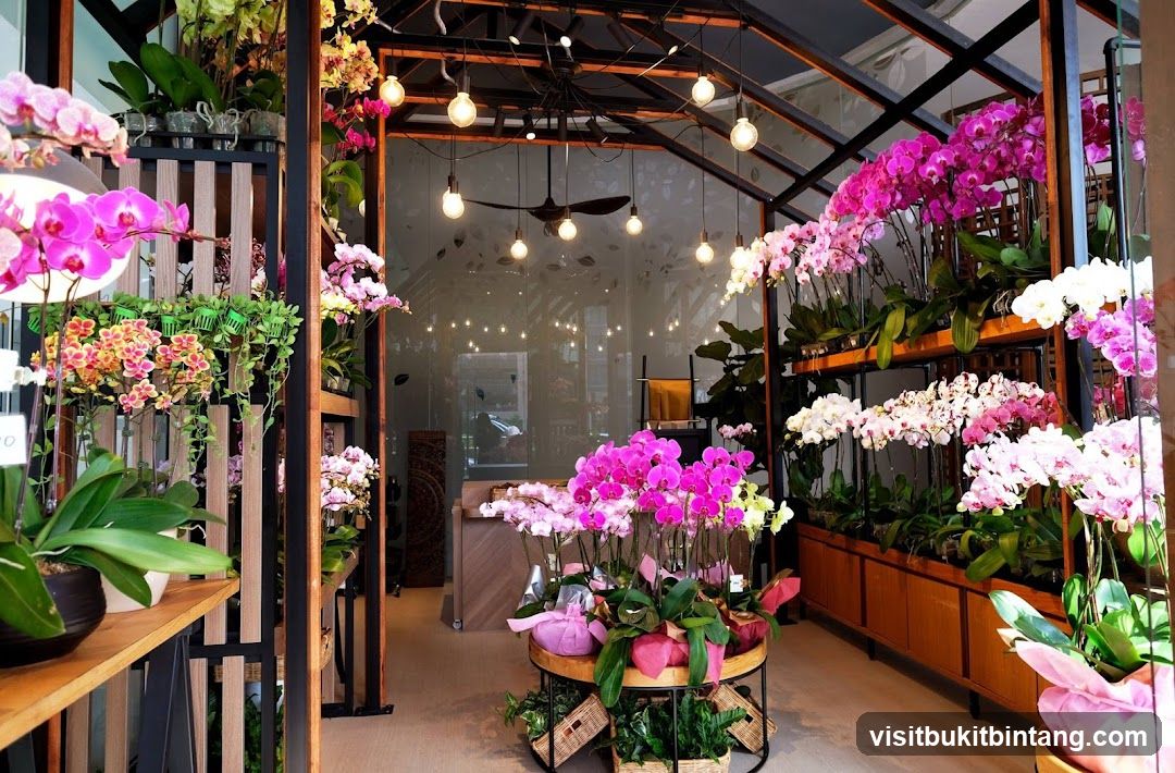 Orchid Flower Shop Interior