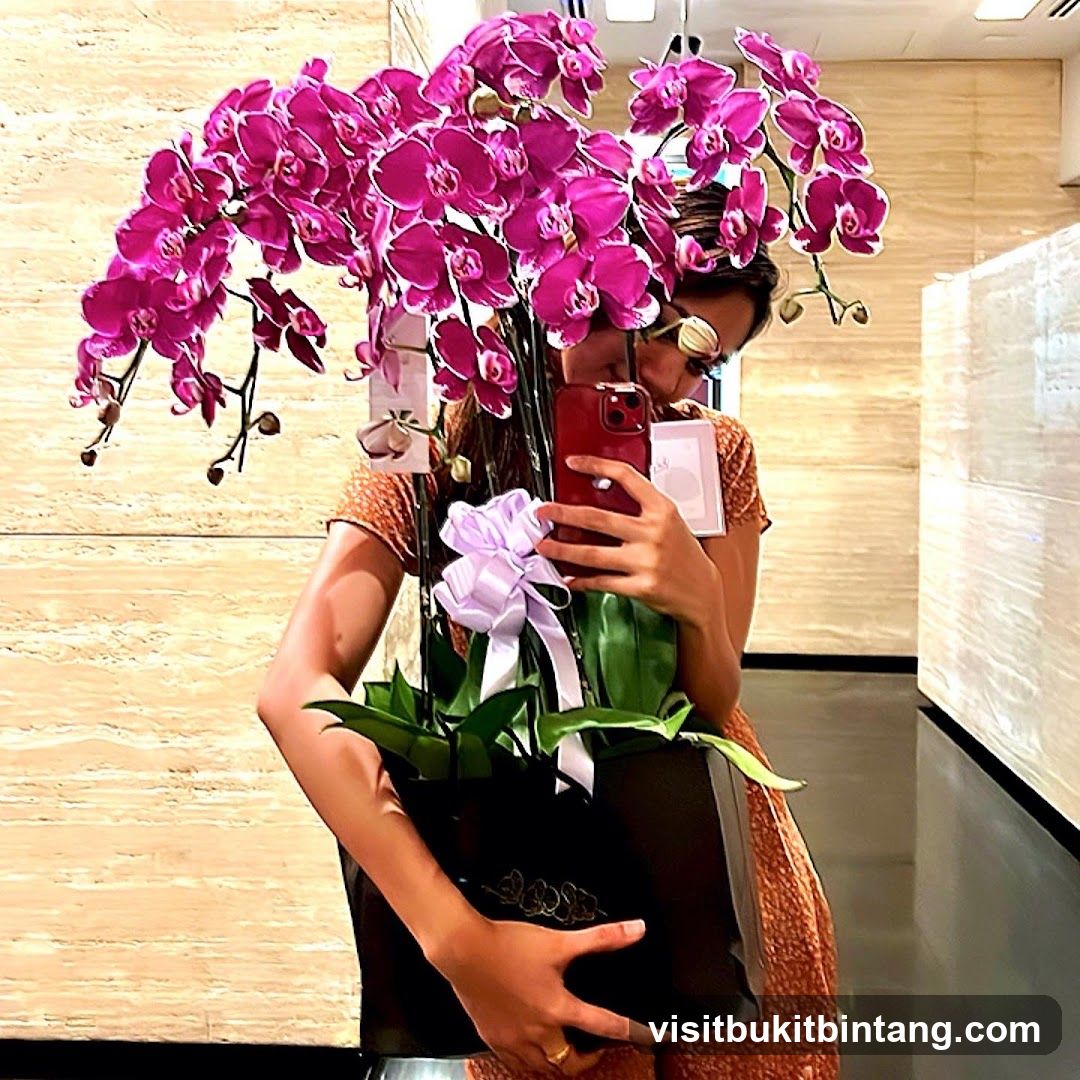 Woman holding a potted orchid