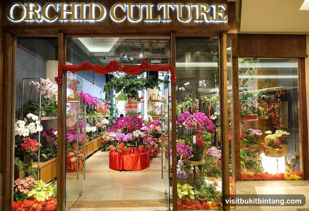 Orchid Culture The Gardens Mall