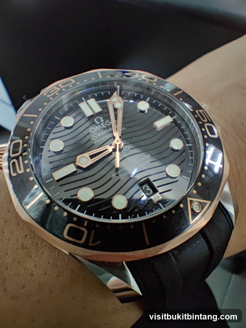 Omega Seamaster Watch