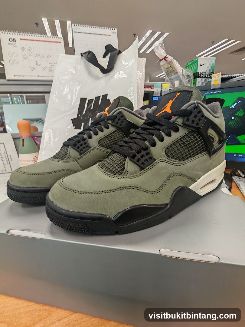 Air Jordan 4 Shoes