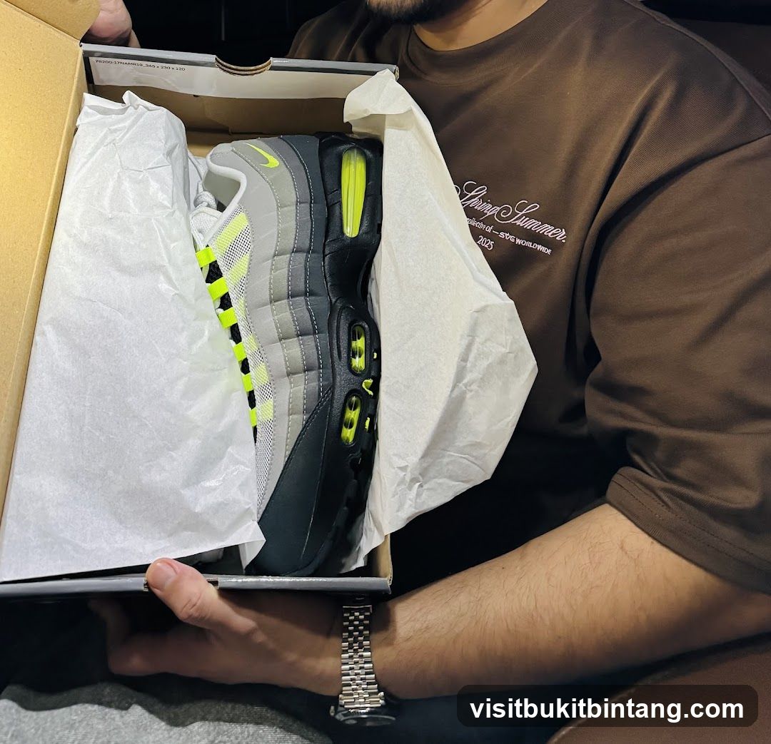 Sneaker in Box