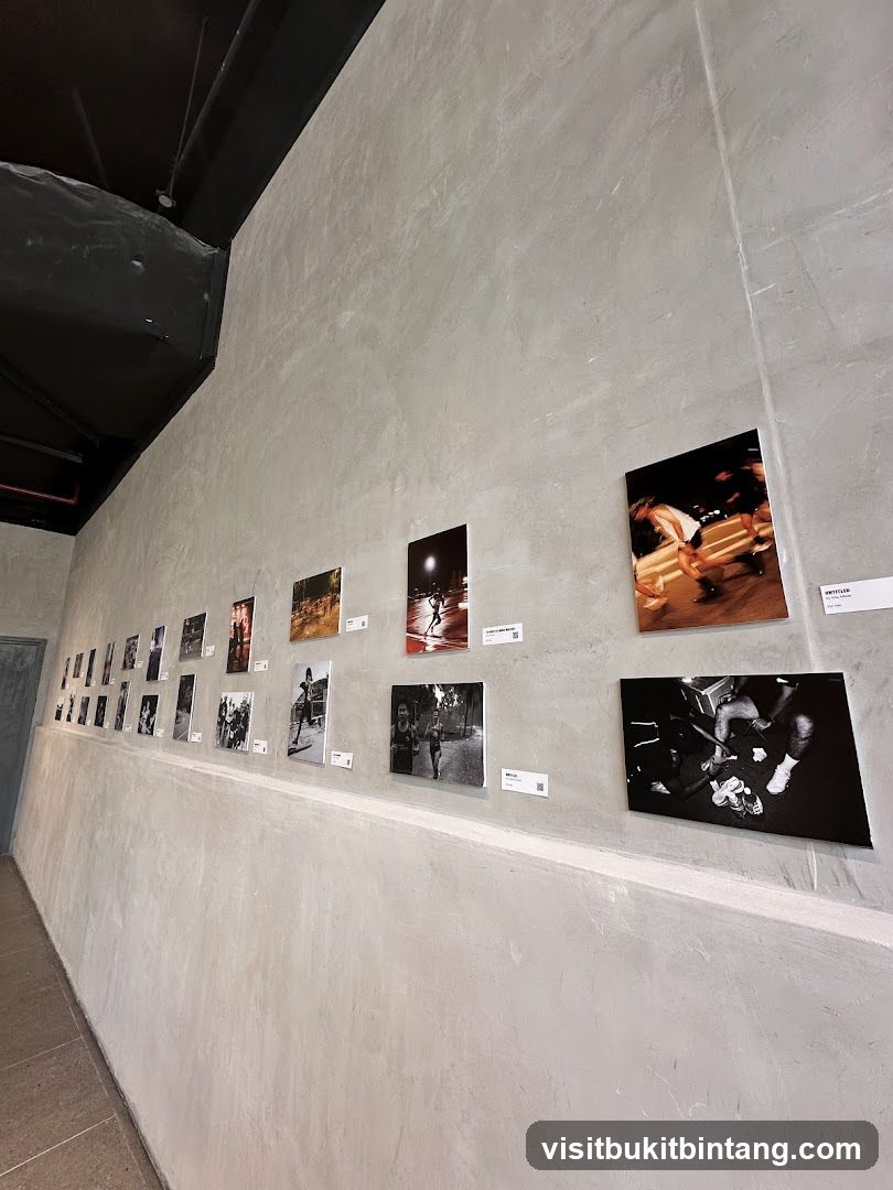 Art Exhibition