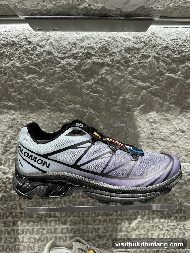 Salomon Running Shoe