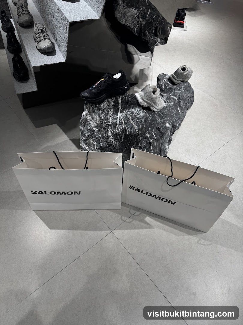 Salomon Shopping Bags and Shoes