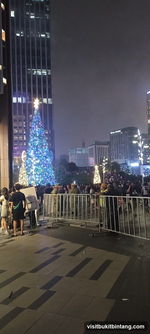 Christmas Tree Display