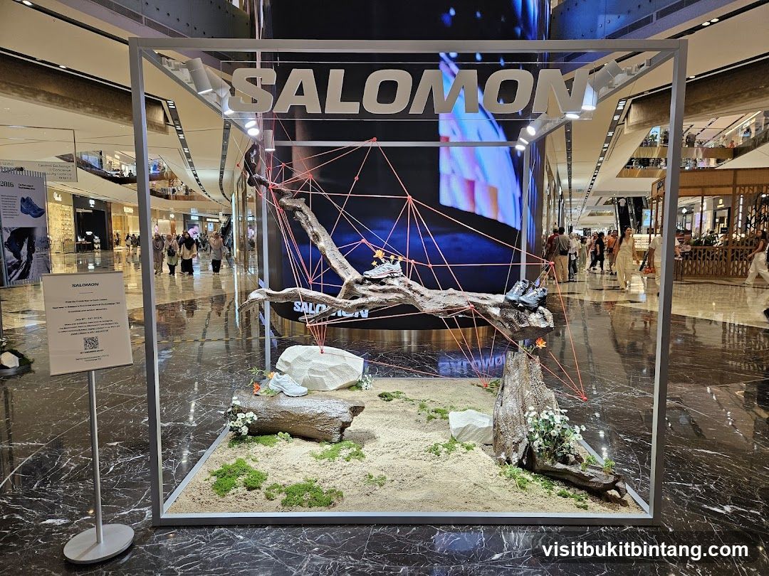 Salomon Display