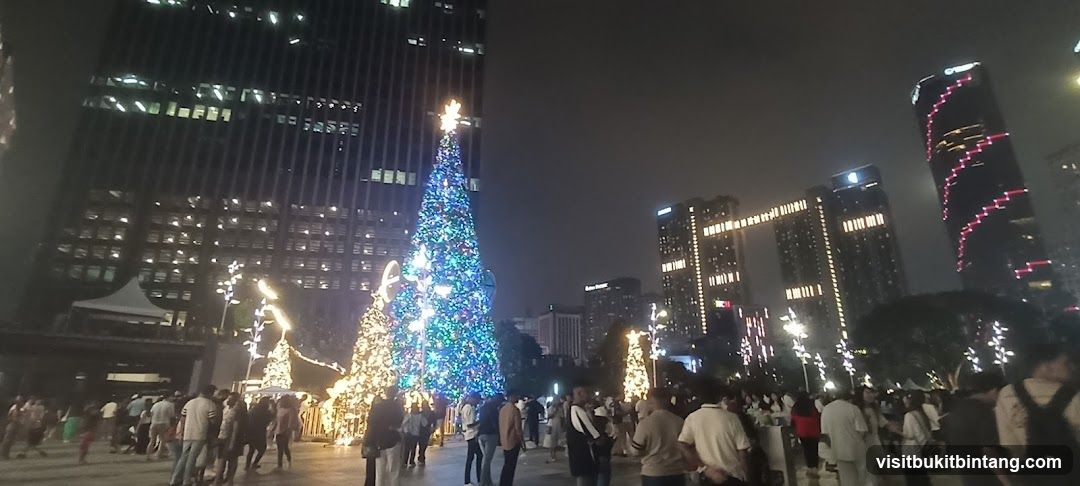 Christmas Tree Display in City Square