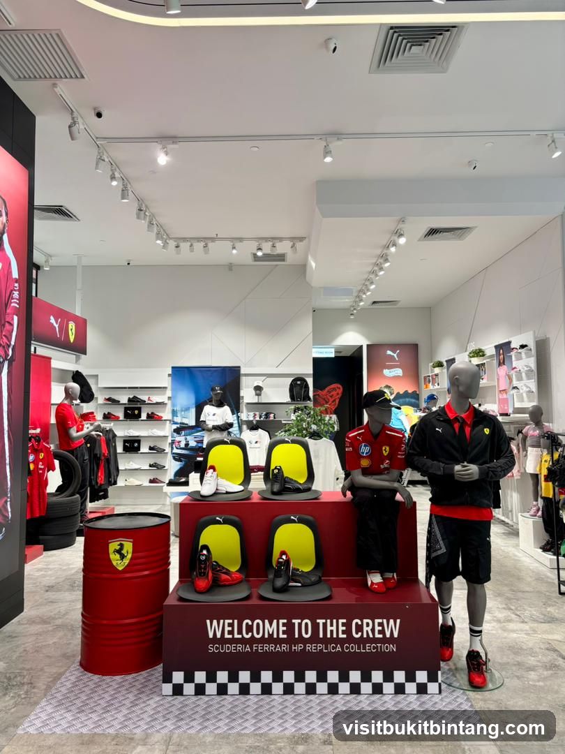 Ferrari Replica Collection Display
