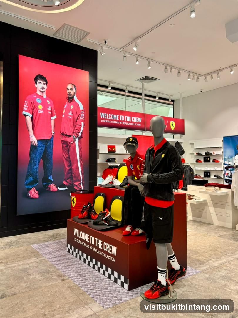 Ferrari Replica Collection Display