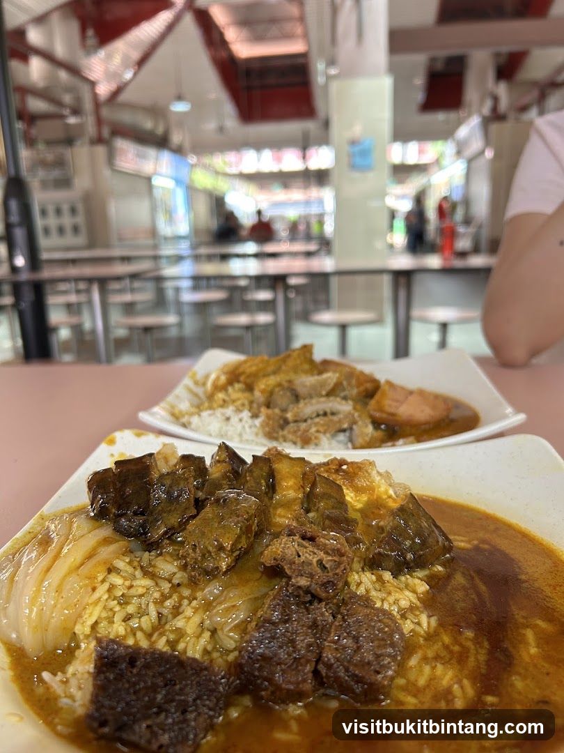 Food court with two plates of rice dishes