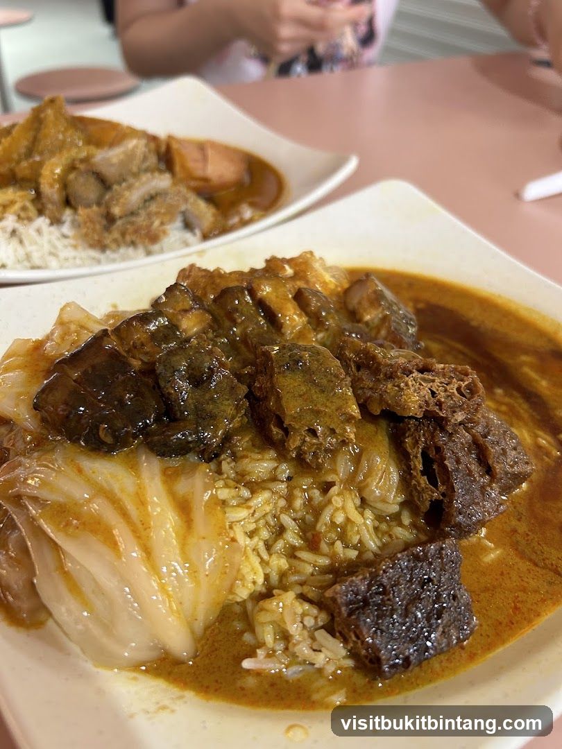 Curry Rice with Braised Meats and Vegetables