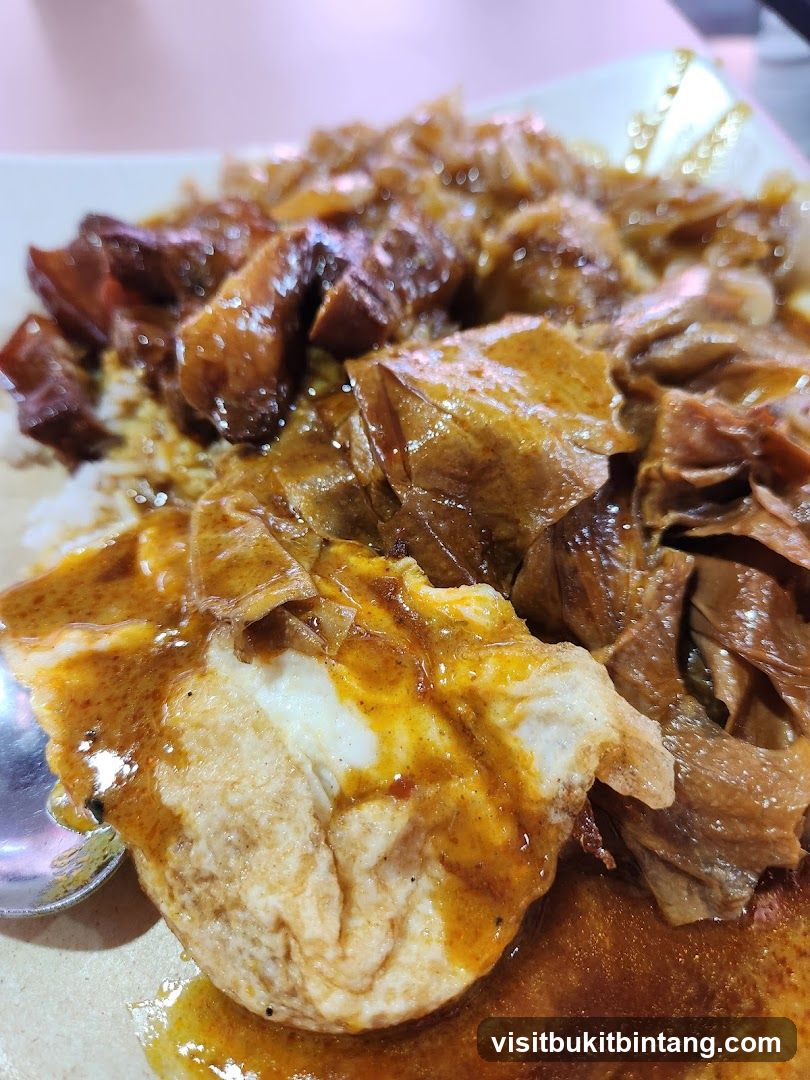 Braised Pork and Tofu Skin with Rice