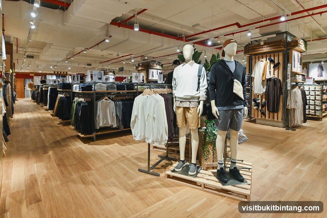 Clothing Store Interior with Mannequins