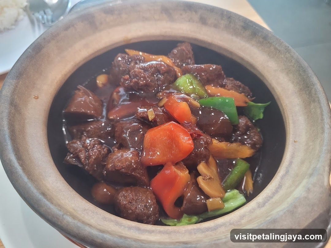 Stewed Beef with Vegetables in Clay Pot