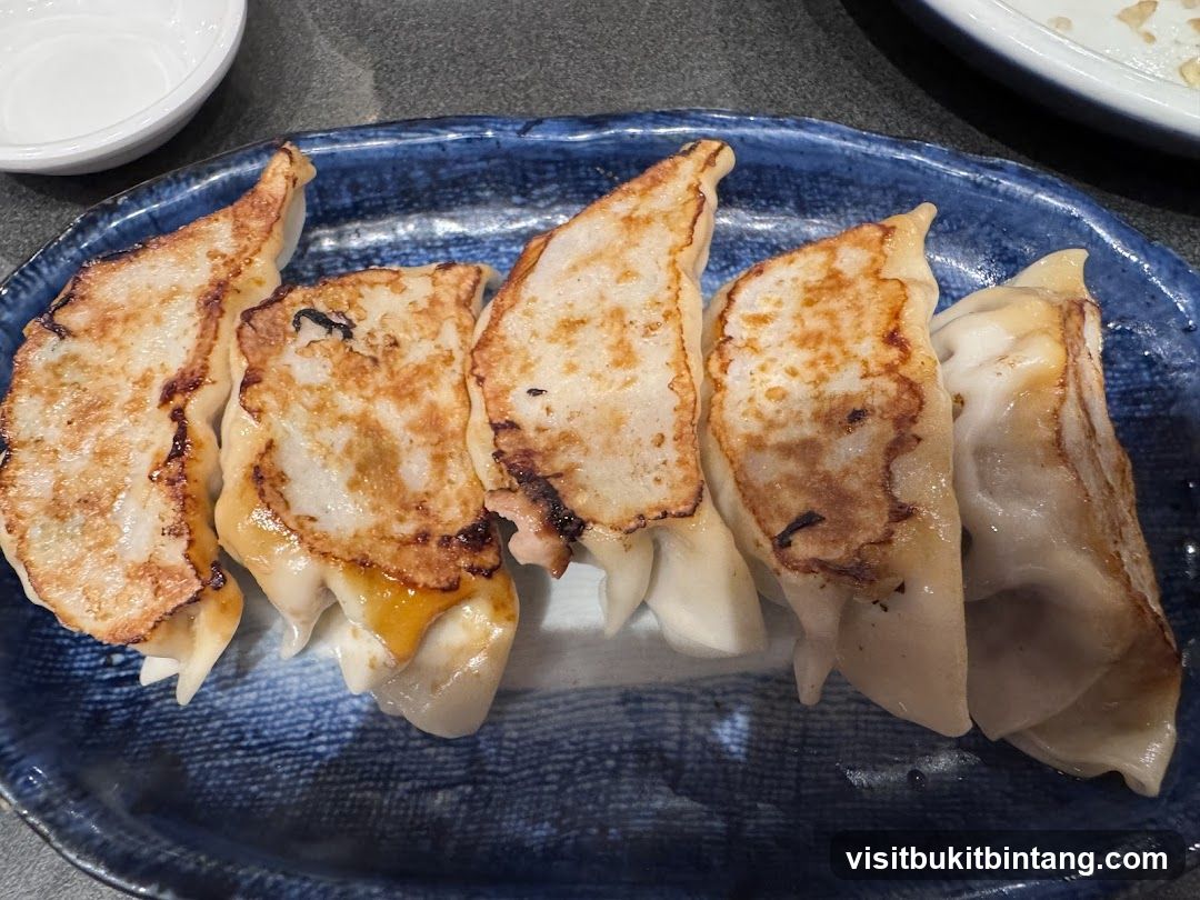 Pan-fried dumplings