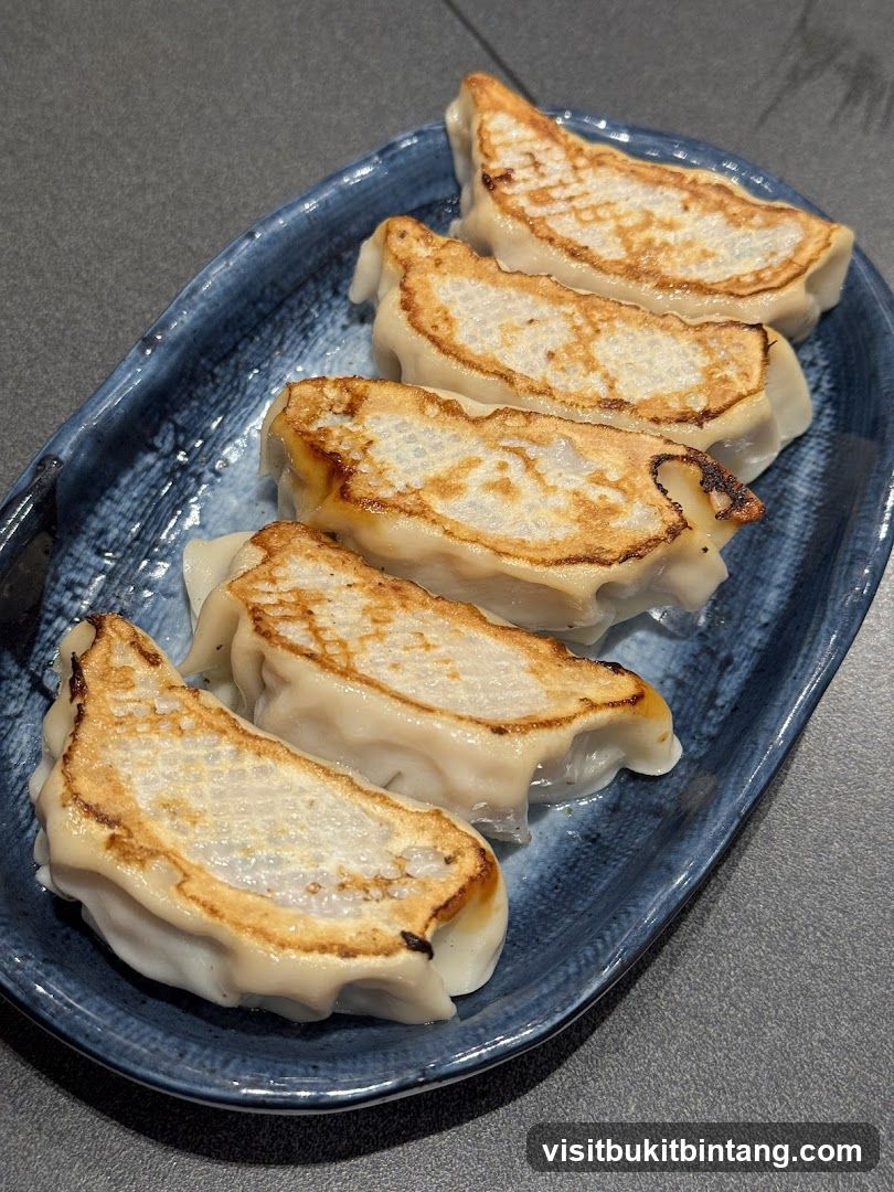 Pan-fried dumplings