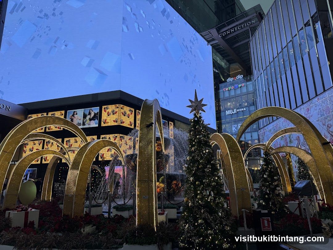 Outdoor Christmas Decorations