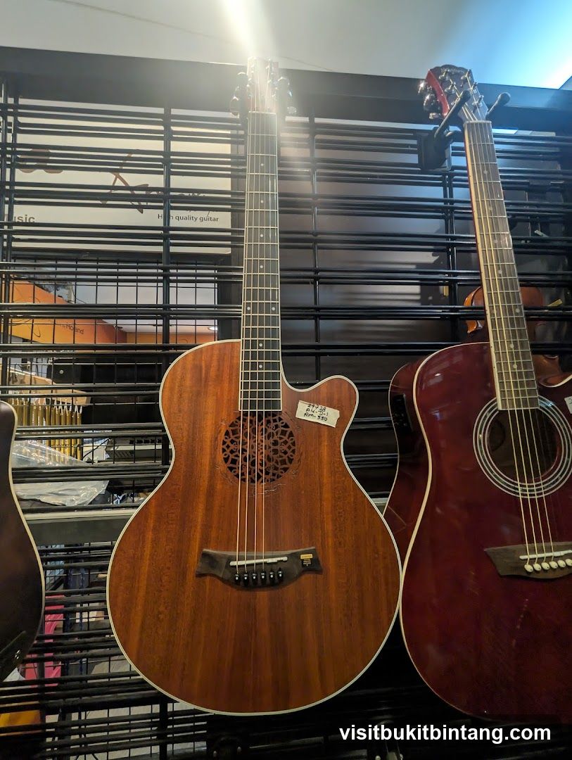 Guitars on Display