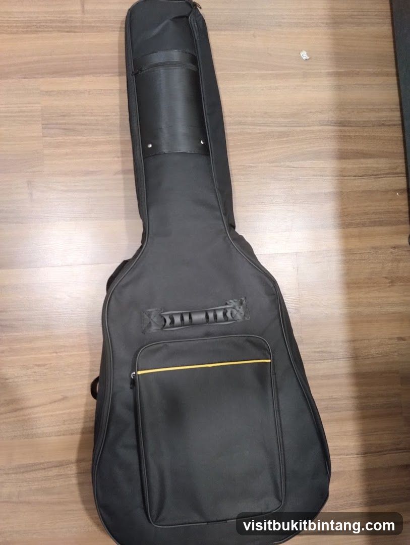 Guitar Gig Bag