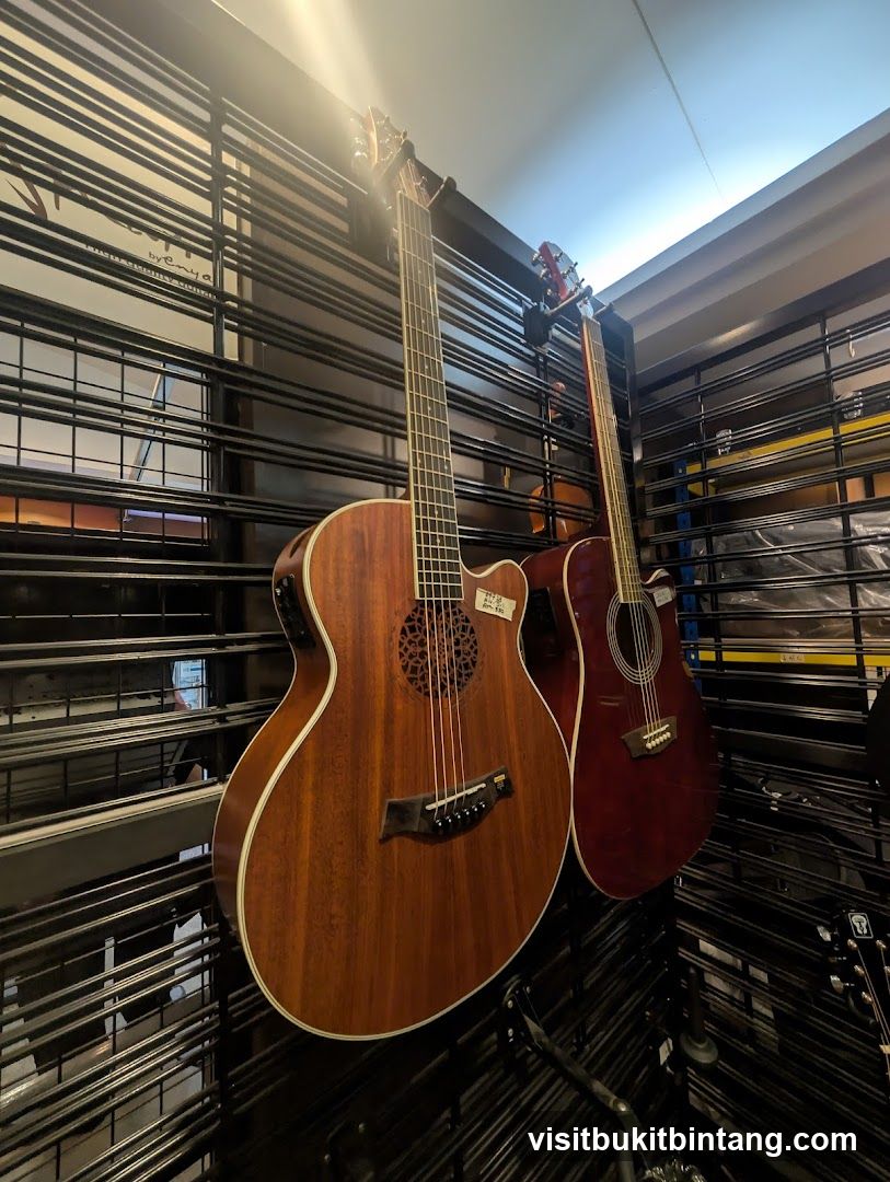 Guitars on Display