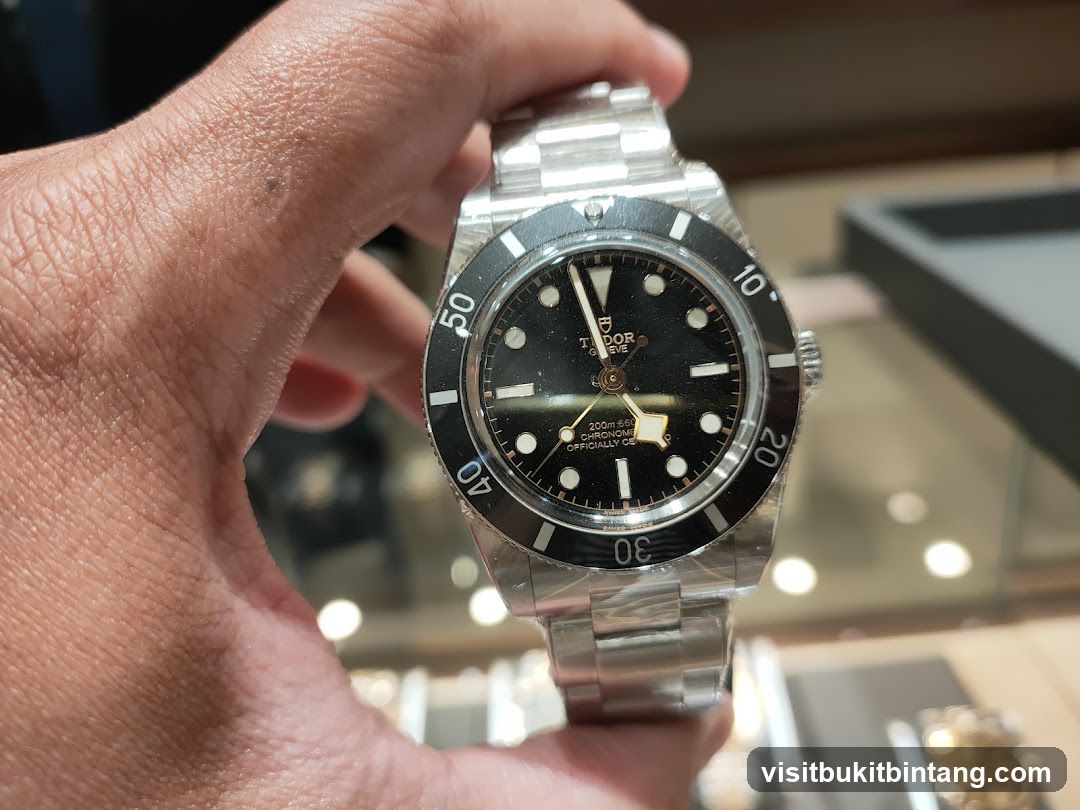 Tudor Watch