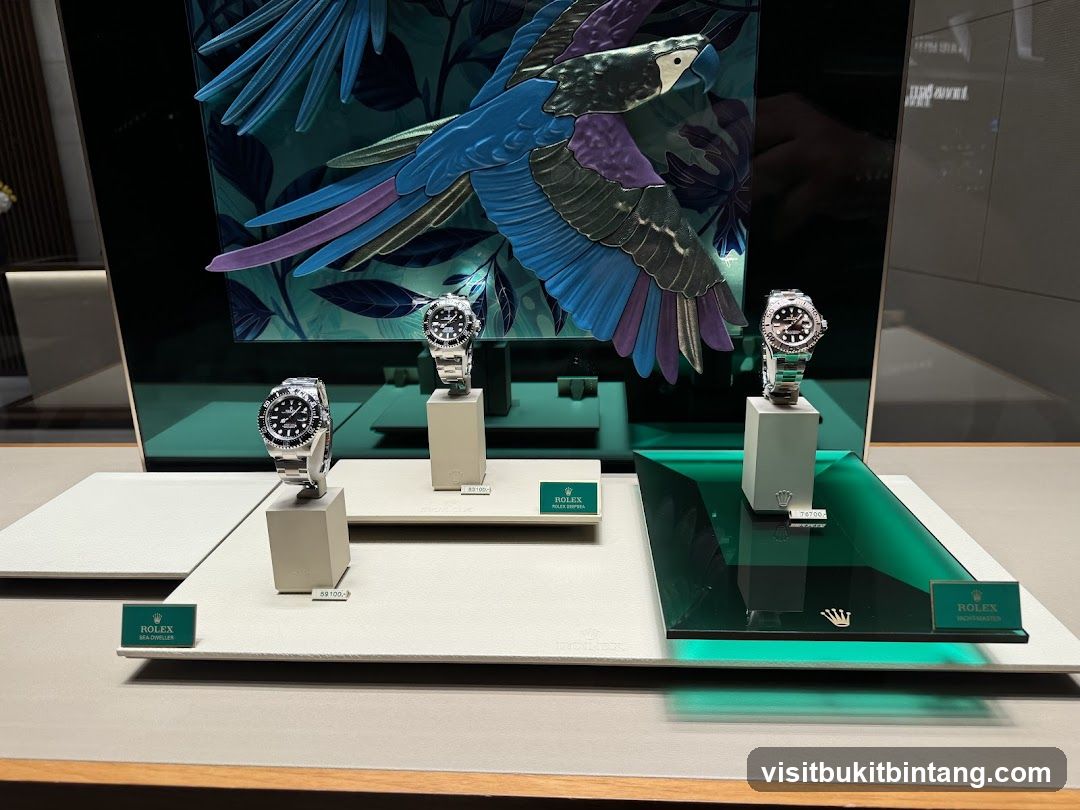 Rolex Watches Display