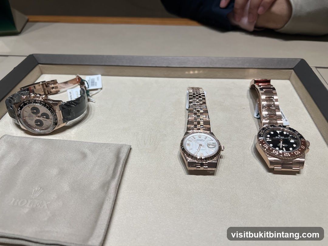 Rolex Watches Display