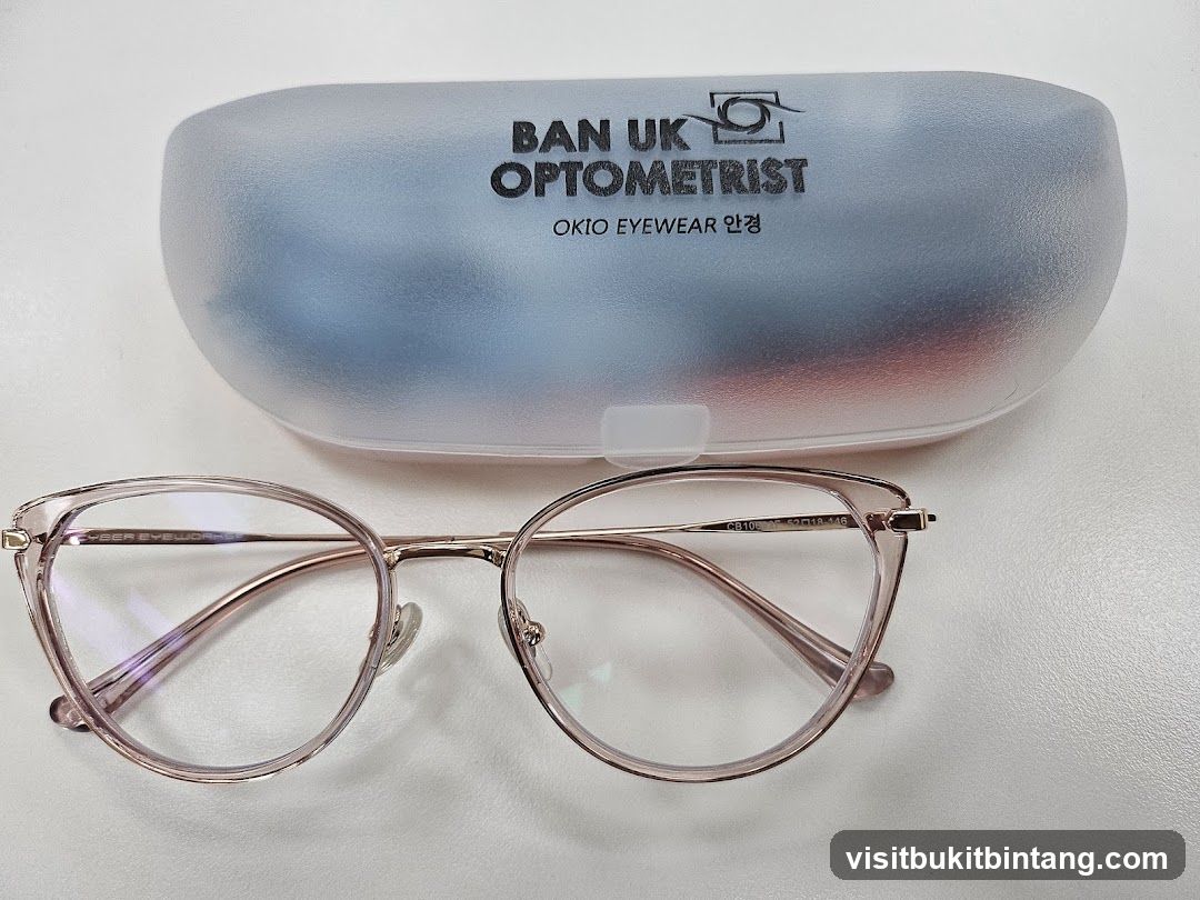 Eyeglasses and Case