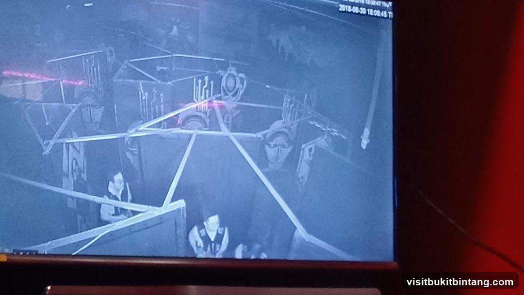 Laser Tag Arena