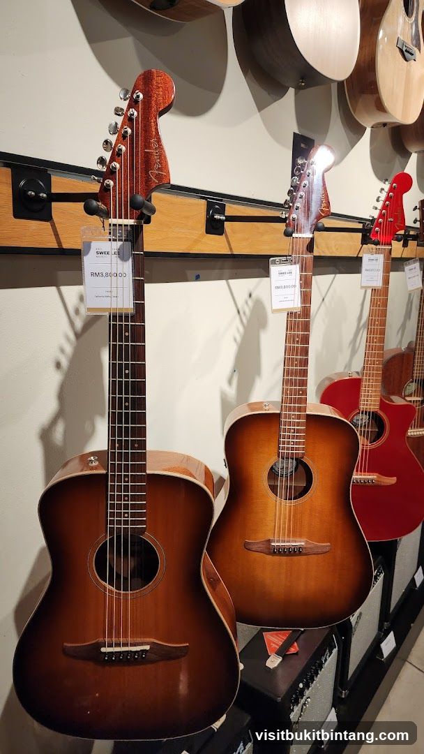Guitars on Display