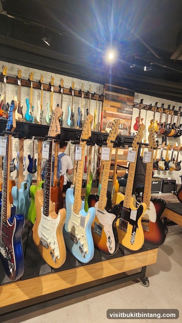 Guitar Store Display