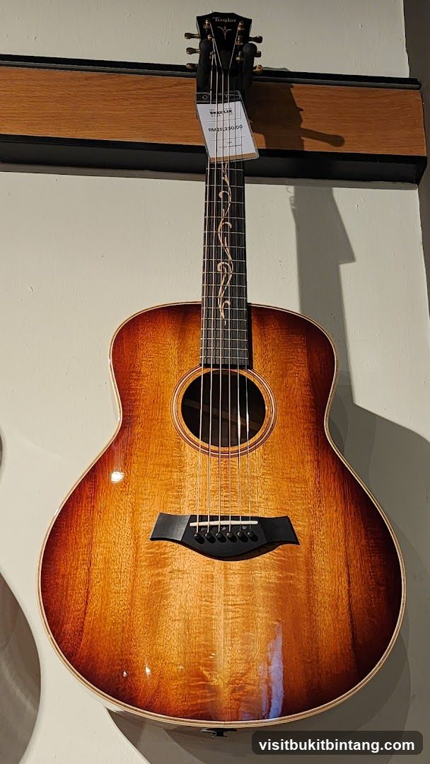 Acoustic Guitar