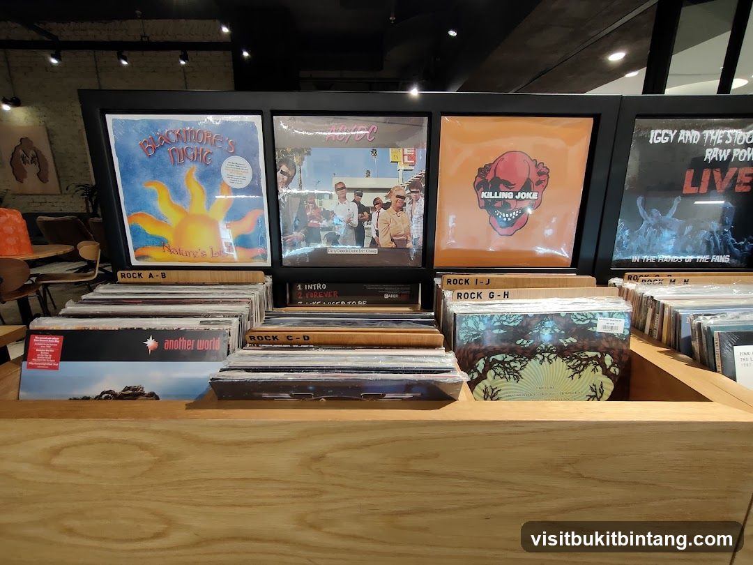 Record Store Display