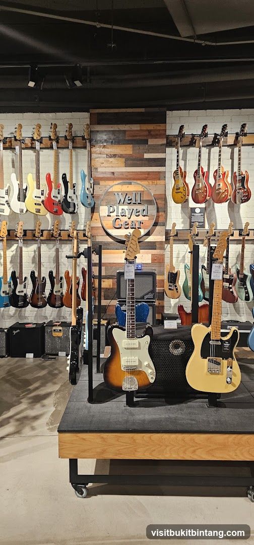 Guitars on Display